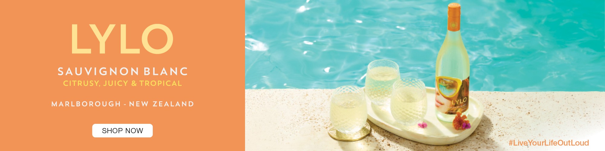 Lylo Launch Banner 9.1