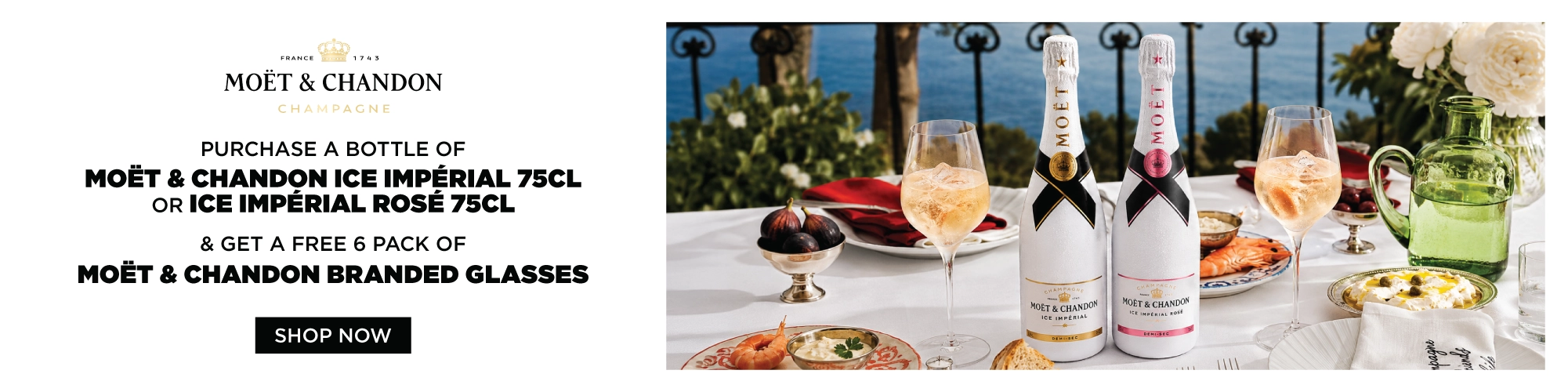 Moet Chandon (Banner 5 from 13th July onwards )100000184