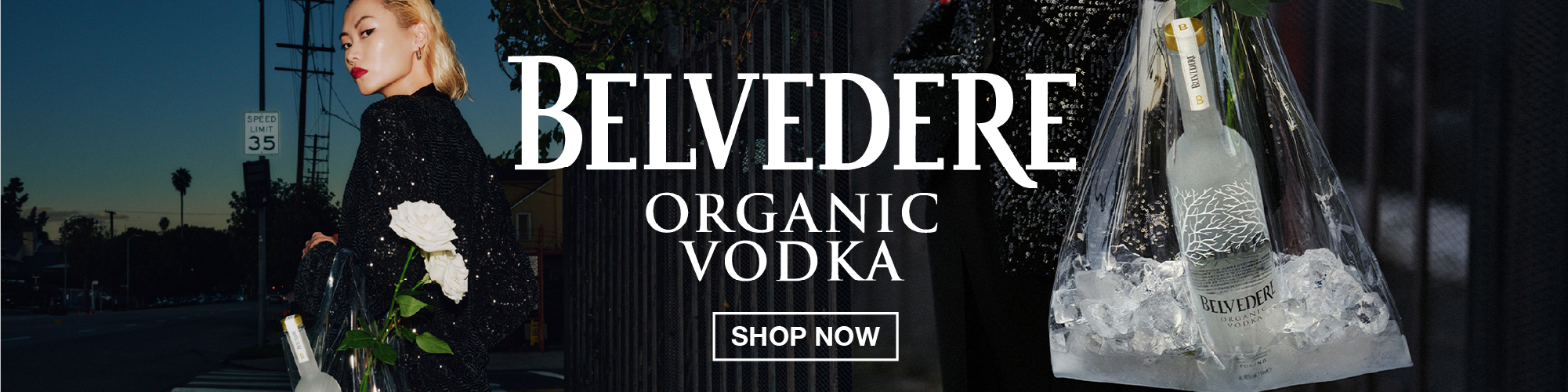 Belvedere ( Banner 5 from 23rd July)  100000215